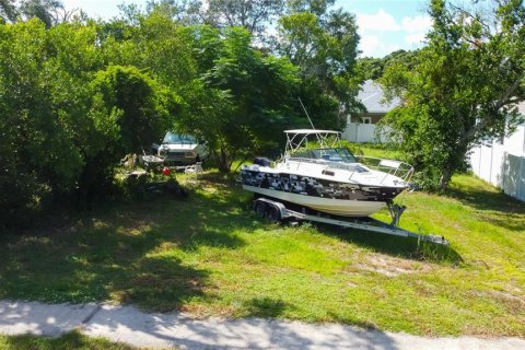 Land in Tarpon Springs, Florida № 1413208 - photo 7