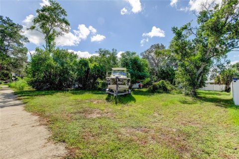 Land in Tarpon Springs, Florida № 1413208 - photo 8