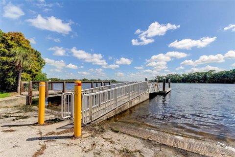 Land in Tarpon Springs, Florida № 1413208 - photo 6