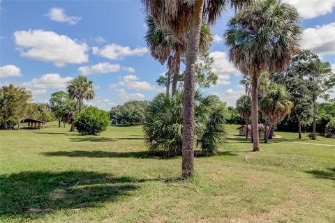 Land in Tarpon Springs, Florida № 1413208 - photo 21