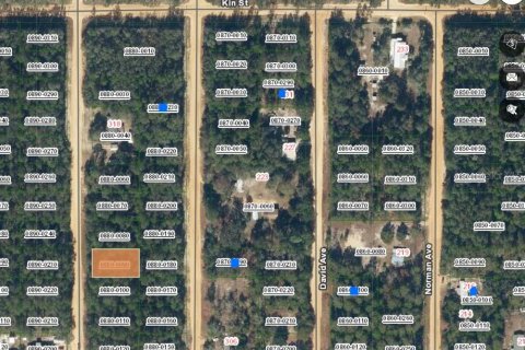 Land in Interlachen, Florida № 2161883