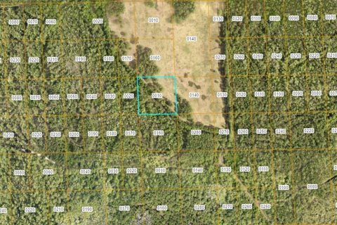 Land in DeLand, Florida № 2379508 - photo 2
