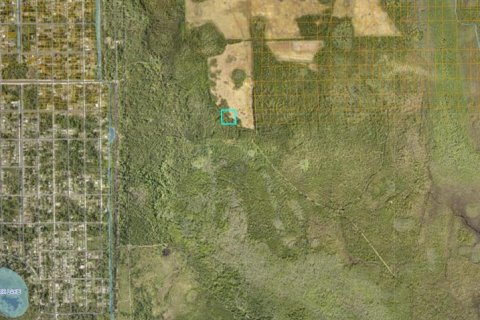 Land in DeLand, Florida № 2379508 - photo 3