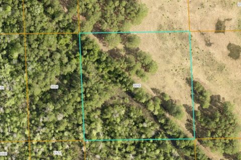 Land in DeLand, Florida № 2379508