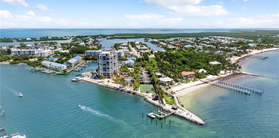 Townhouse in Marathon, Florida 2 bedrooms, 170.75 sq.m. № 1788574