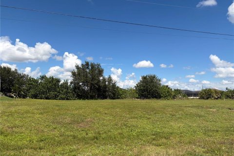 Terrain à vendre à Cape Coral, Floride № 2388703 - photo 3