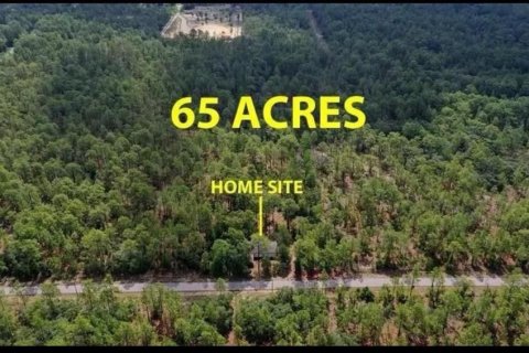 Terreno en venta en Dunnellon, Florida № 2325158 - foto 3