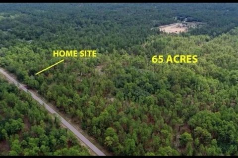 Terreno en venta en Dunnellon, Florida № 2325158 - foto 4