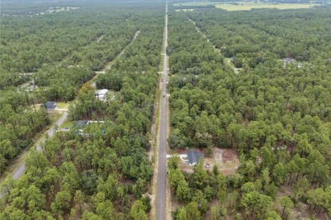 Terreno en venta en Dunnellon, Florida № 2325158 - foto 2