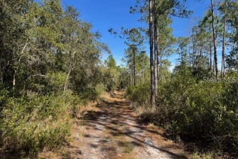 Land in Fort MC Coy, Florida № 1647637 - photo 17
