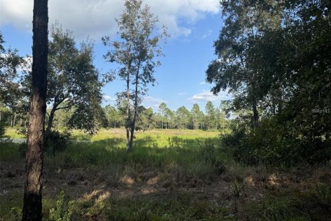 Land in Fort MC Coy, Florida № 1647637 - photo 19