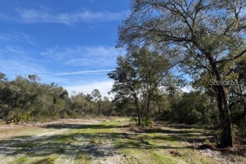 Land in Fort MC Coy, Florida № 1647637 - photo 6