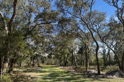 Land in Fort MC Coy, Florida № 1647637 - photo 3