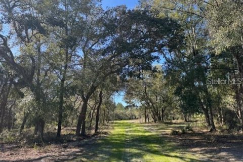 Land in Fort MC Coy, Florida № 1647637 - photo 9