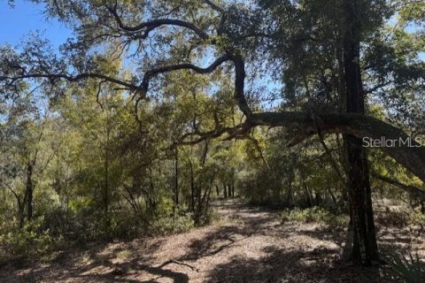 Land in Fort MC Coy, Florida № 1647637 - photo 8