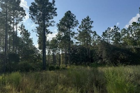 Land in Fort MC Coy, Florida № 1647637 - photo 21