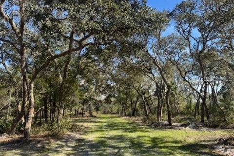 Land in Fort MC Coy, Florida № 1647637 - photo 4