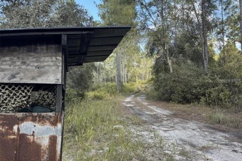 Land in Fort MC Coy, Florida № 1647637 - photo 20