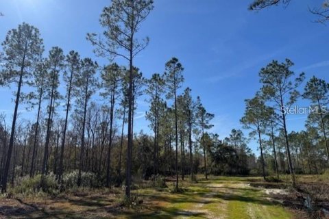 Land in Fort MC Coy, Florida № 1647637 - photo 12