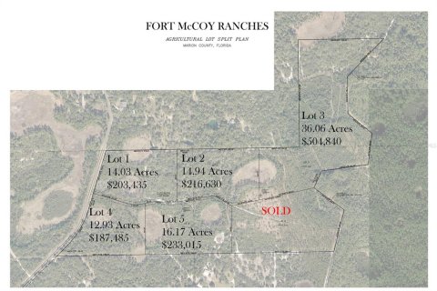 Land in Fort MC Coy, Florida № 1647637 - photo 2