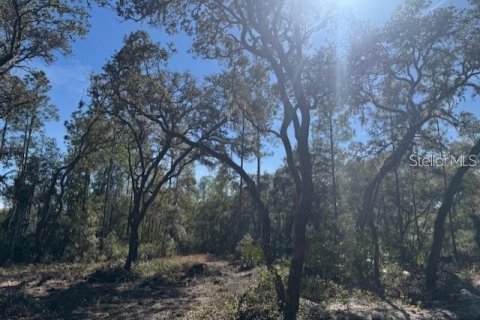 Land in Fort MC Coy, Florida № 1647637 - photo 11