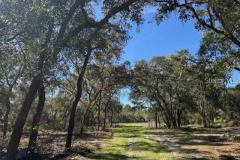 Land in Fort MC Coy, Florida № 1647637 - photo 10
