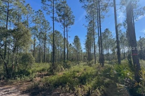 Land in Fort MC Coy, Florida № 1647637 - photo 15