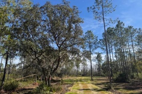 Land in Fort MC Coy, Florida № 1647637 - photo 1