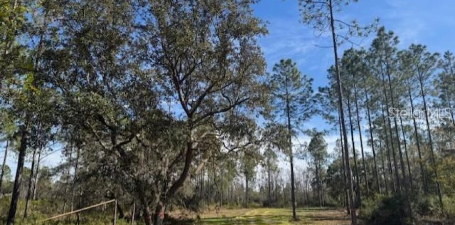 Land in Fort MC Coy, Florida № 1647637