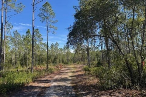Land in Fort MC Coy, Florida № 1647637 - photo 13