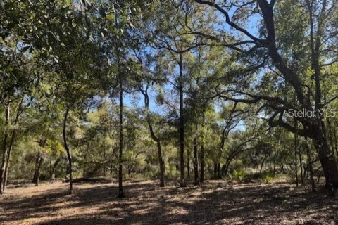 Land in Fort MC Coy, Florida № 1647637 - photo 7