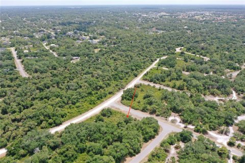 Land in North Port, Florida № 2159736 - photo 8
