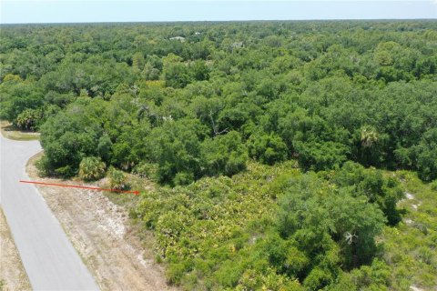 Land in North Port, Florida № 2159736 - photo 4