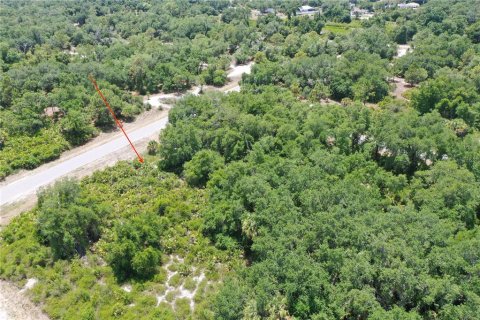 Land in North Port, Florida № 2159736 - photo 10
