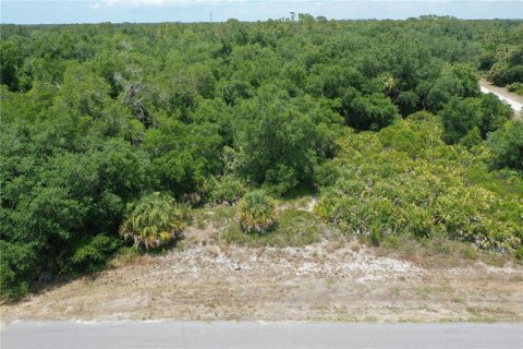 Land in North Port, Florida № 2159736 - photo 15