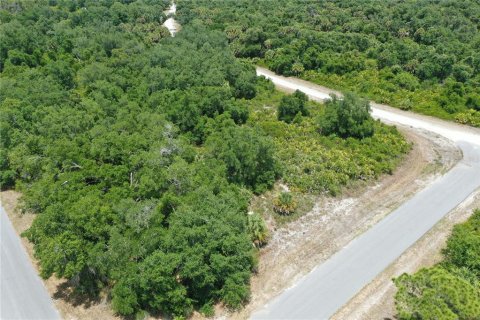 Land in North Port, Florida № 2159736 - photo 12