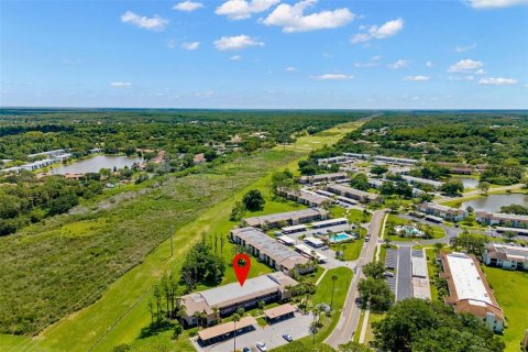 Condo in Oldsmar, Florida, 2 bedrooms  № 2201978 - photo 25