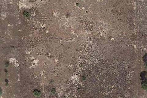 Terreno en venta en Lake Wales, Florida № 1007763 - foto 1