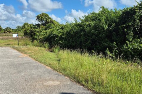 Купить коммерческую недвижимость в Лихай-Эйкерс, Флорида № 1964511 - фото 1