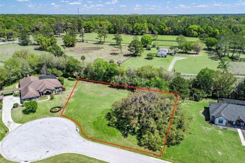 Terreno en Ocala, Florida № 2103071