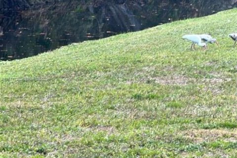 Touwnhouse à vendre à Lauderhill, Floride: 2 chambres, 80.64 m2 № 2032138 - photo 19