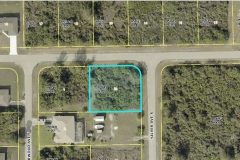 Land in Lehigh Acres, Florida № 2165776