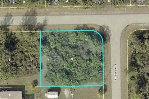 Land in Lehigh Acres, Florida № 2165776 - photo 3