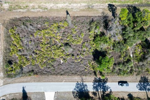Land in North Port, Florida № 2161552 - photo 3
