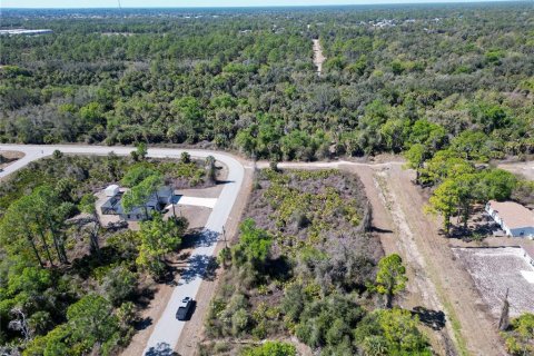Land in North Port, Florida № 2161552 - photo 7