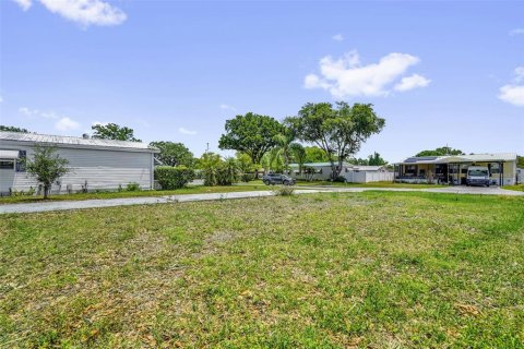 Land in Lake Alfred, Florida № 2211658 - photo 15