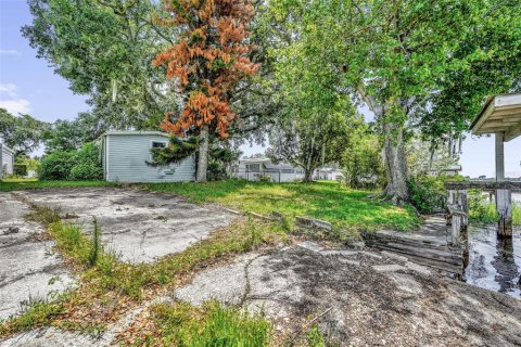 Land in Lake Alfred, Florida № 2211658 - photo 9