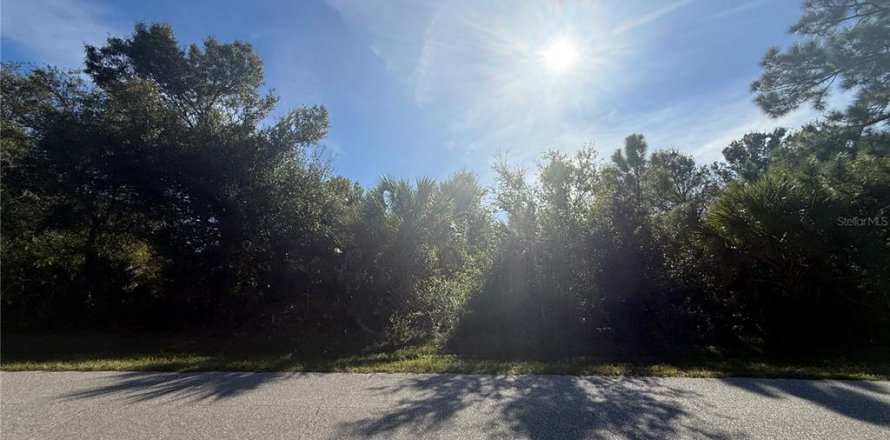 Land in Port Charlotte, Florida № 2163925