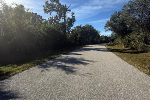 Land in Port Charlotte, Florida № 2163925 - photo 5