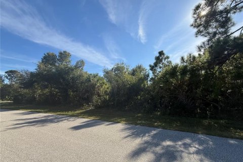 Land in Port Charlotte, Florida № 2163925 - photo 4
